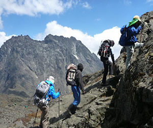 Kilembe trail mt. rwenzori
