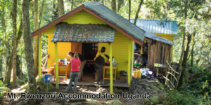 Safari Lodges Mt. Rwenzori