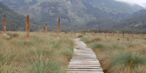 Mt. Rwenzori Uganda
