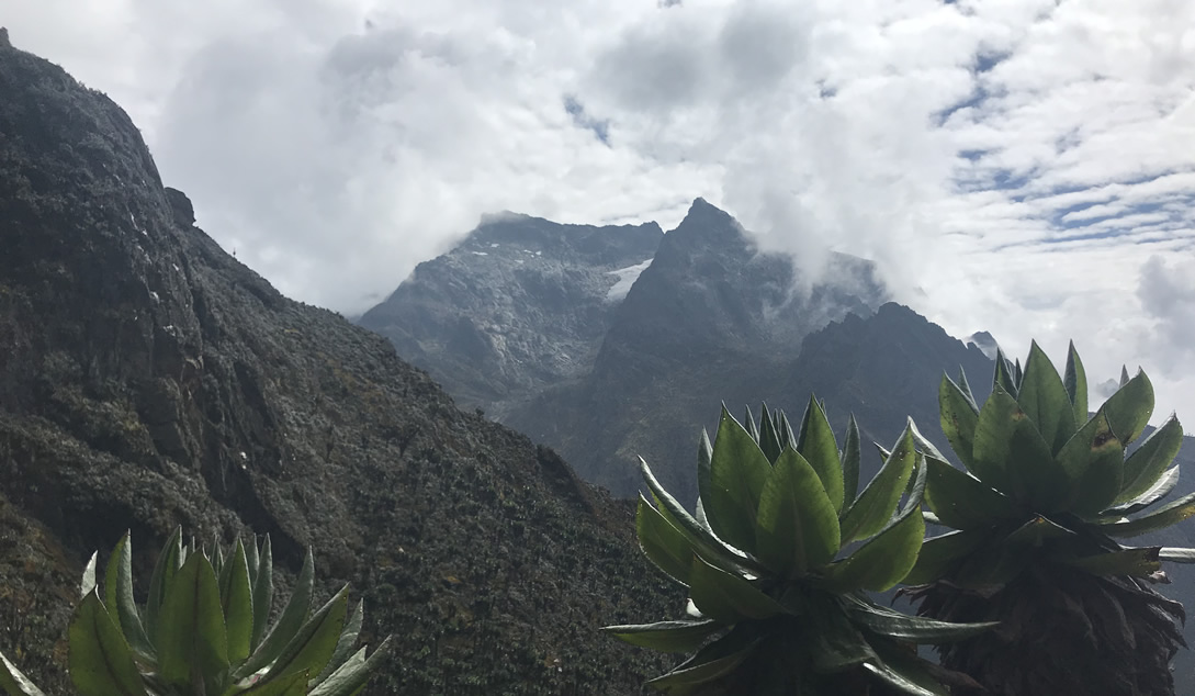 Alender peak on Mount Rwenzori