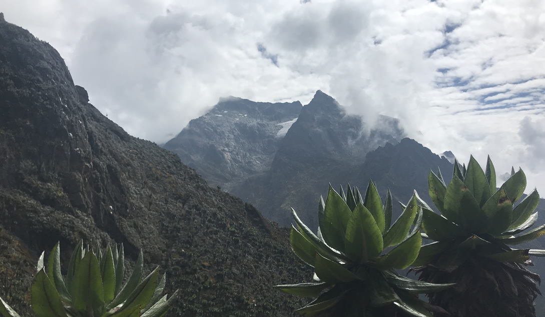 Rwenzori Mountaineering