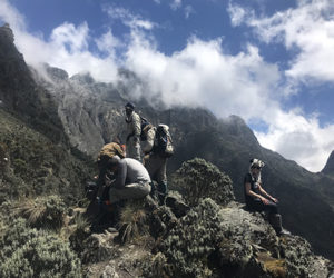 Mountain Rwenzori Hike