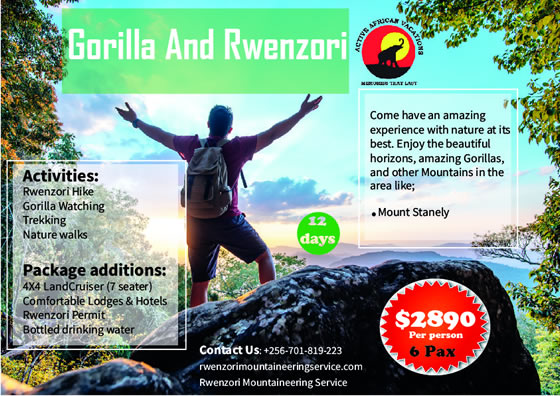 Rwenzori & Gorillas 