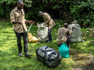 1 day kilembe trail trek