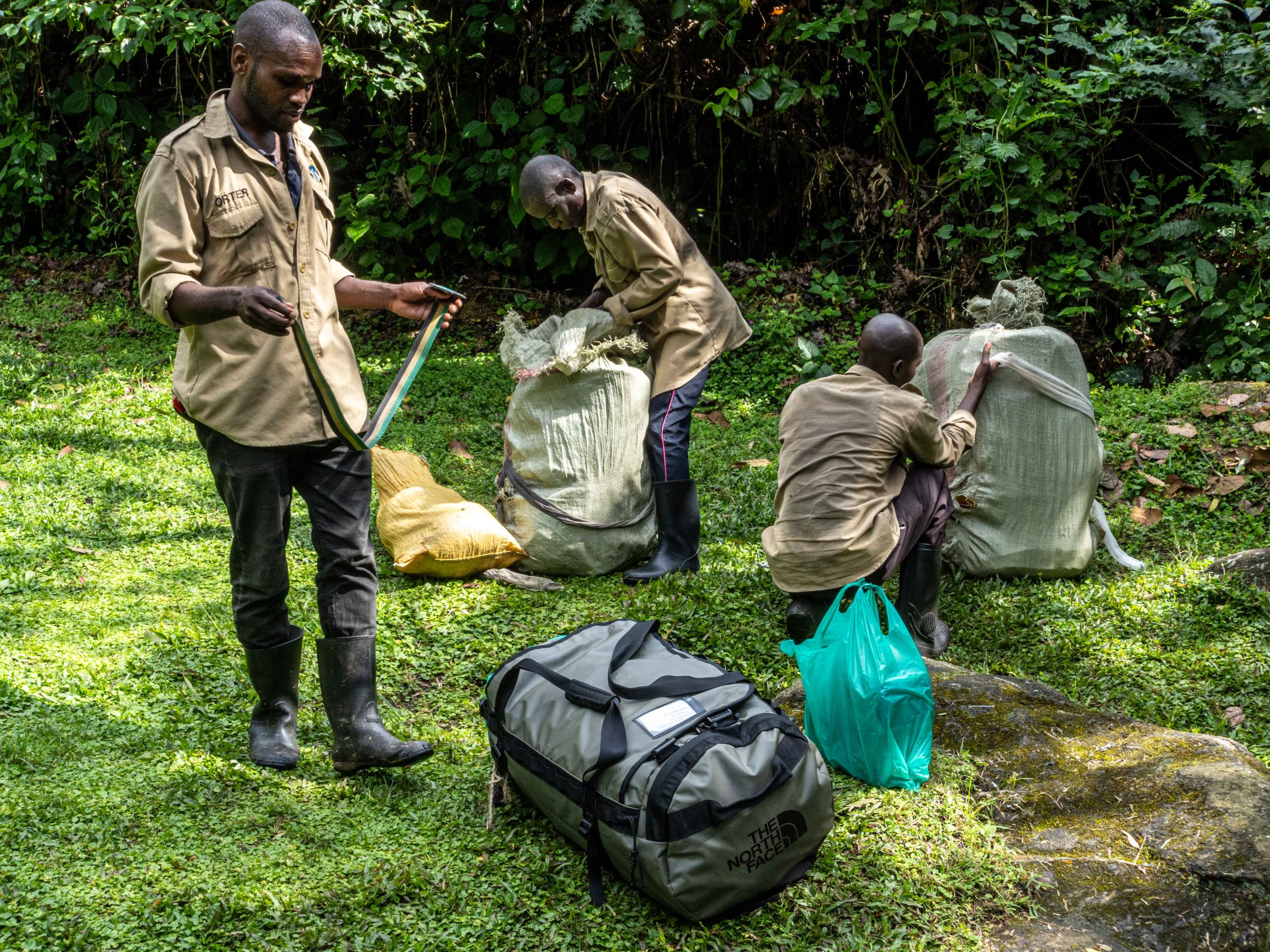 1 day kilembe trail trek